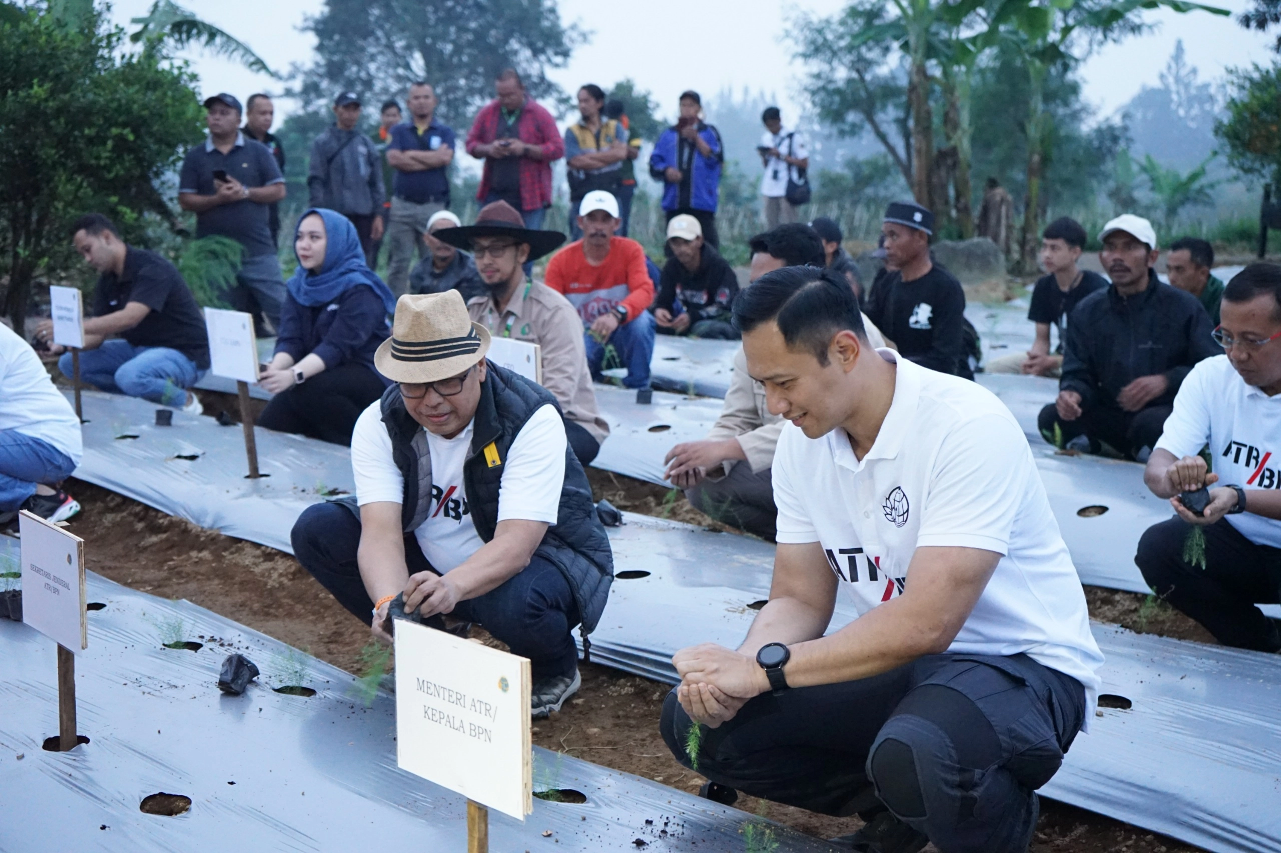 Telkom Dorong Ekosistem Bisnis Asparagus di Cianjur